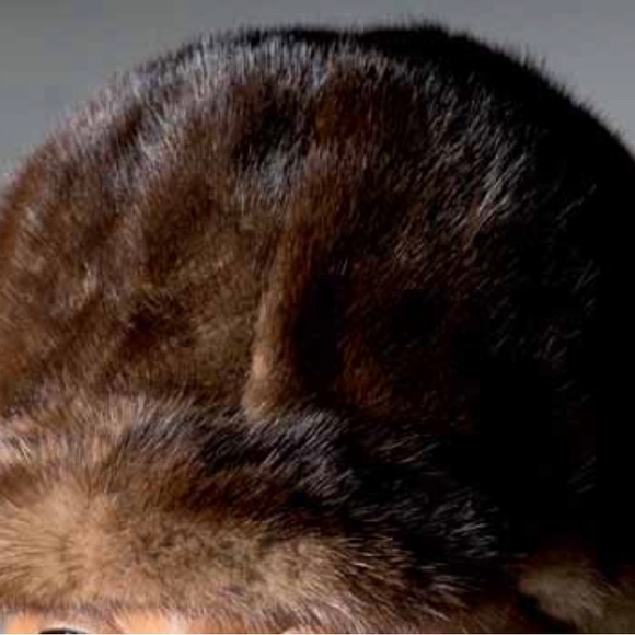 New With Tags, Brown Mink Fur Hat - Picture 5 of 6